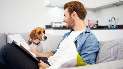 What Is CareCredit for pets?
